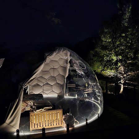 Camping Paradiso 佩萨罗 外观 照片