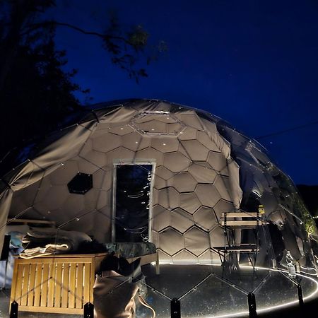 Camping Paradiso 佩萨罗 外观 照片