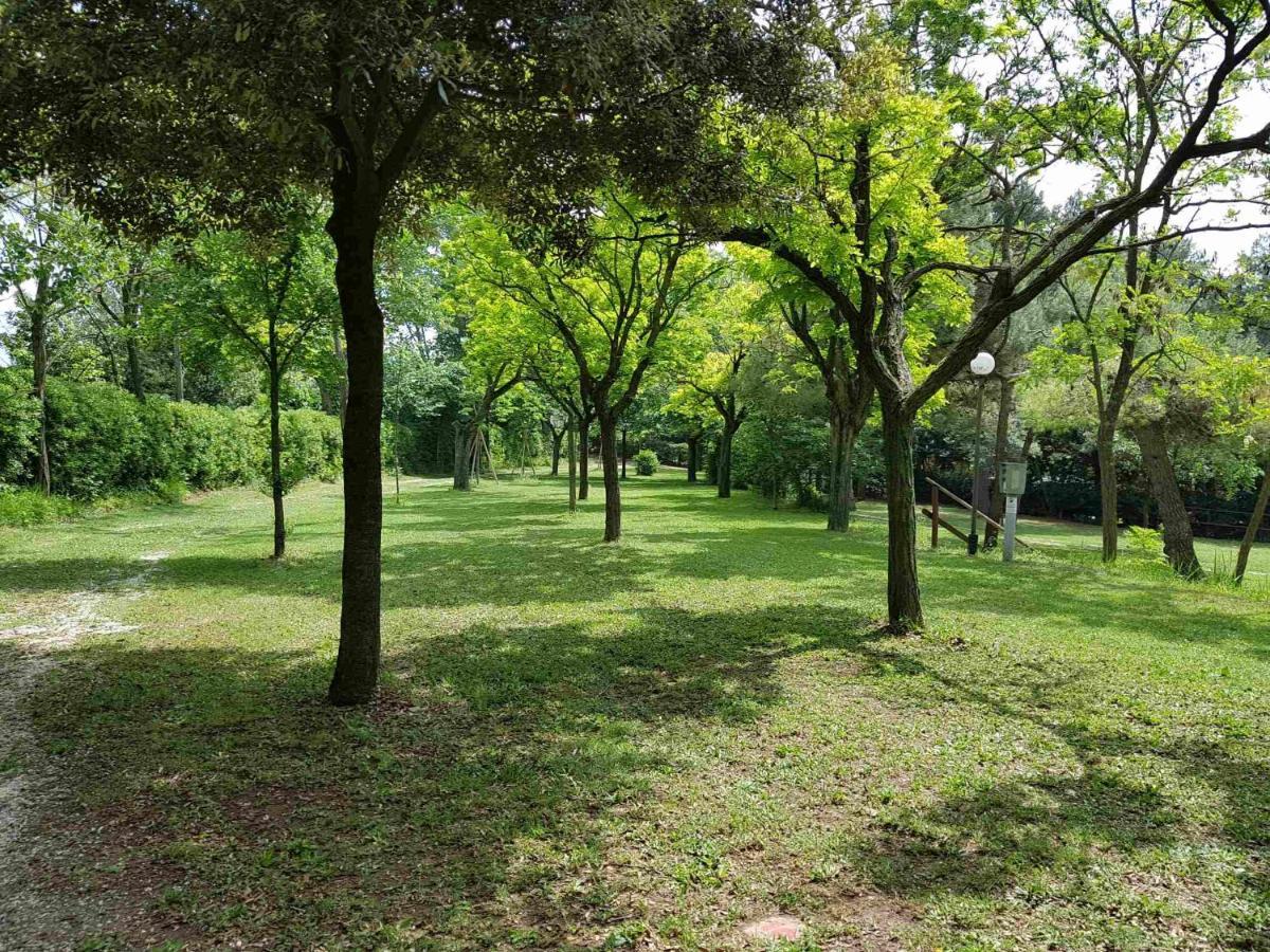 Camping Paradiso 佩萨罗 外观 照片