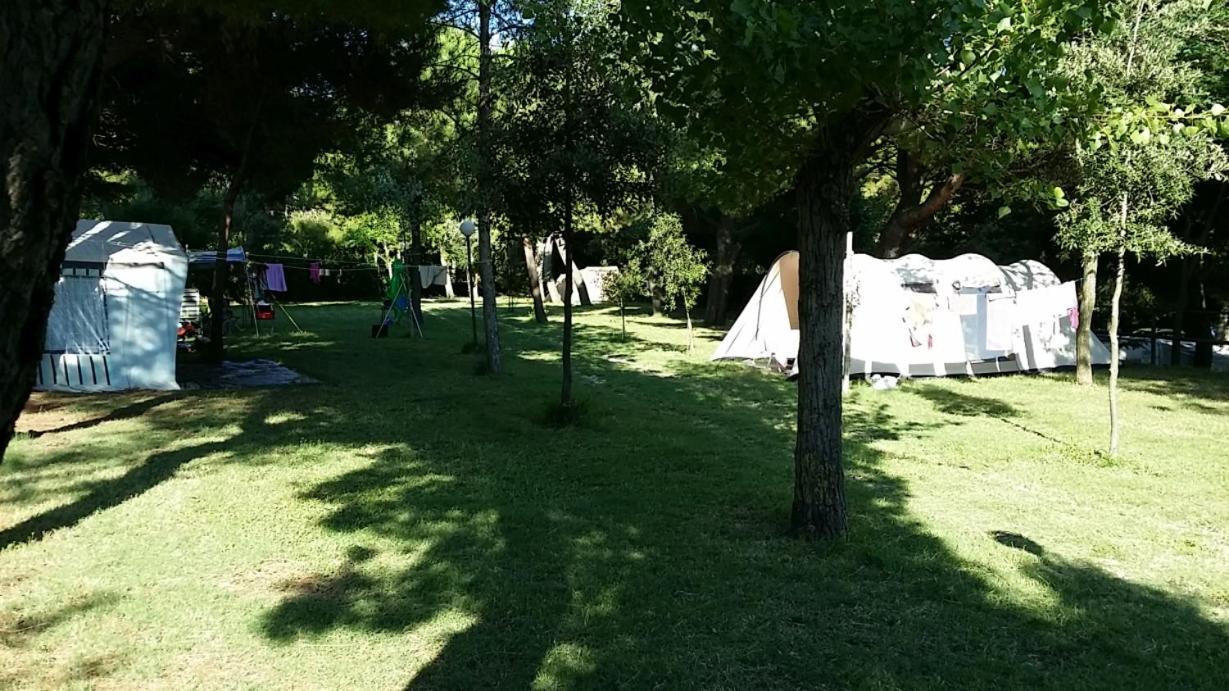 Camping Paradiso 佩萨罗 外观 照片