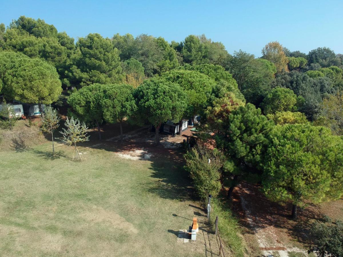 Camping Paradiso 佩萨罗 外观 照片